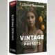 Download David Dubnitskiy – 20 Vintage Presets (XMP)