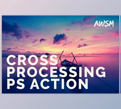 Download Cross Processing – Photoshop Action By AWSM STUDIO