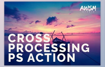 Download Cross Processing – Photoshop Action By AWSM <span class='badge badge-warning'>STUDIO</span>