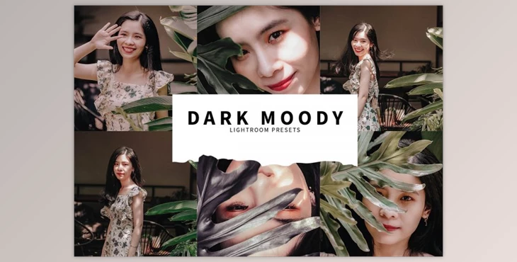 Download 10 Dark Moody Lightroom Presets By Fitra Anas
