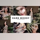 Download 10 Dark Moody Lightroom Presets By Fitra Anas