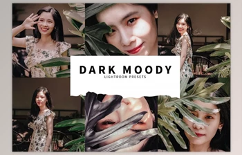 Download 10 <span class='badge badge-warning'>Dark</span> Moody Lightroom Presets By Fitra Anas
