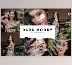 Download 10 Dark Moody Lightroom Presets By Fitra Anas