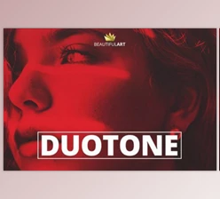 Download Pro DUOTONE-I Photoshop Action by BeautifulART (atn)