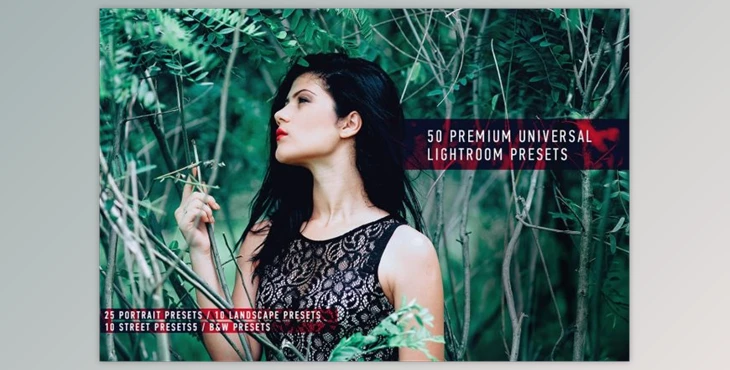 Download 50 Premium Universal Presets By Mongato Goods
