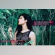 Download 50 Premium Universal Presets By Mongato Goods