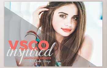 Download VSCO Inspired Lightroom Presets By choku-design-<span class='badge badge-warning'>studio</span>