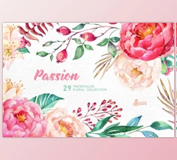 Download Passion. Flowers Collection By OctopusArtis (PNG, JPG)