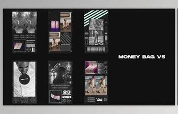 Download <span class='badge badge-warning'>Money</span> Bag V5 - Instagram Stories (Videohive 32605562) - PR Project