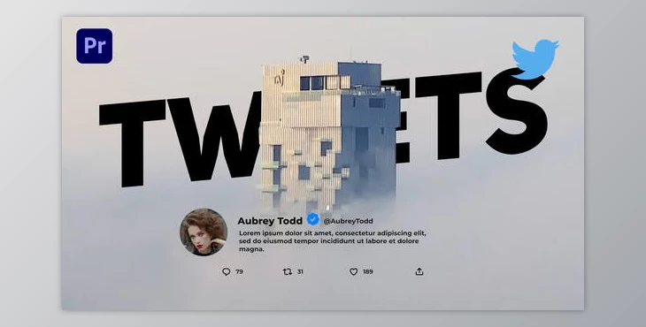 Download Tweets (Videohive 32592835) - PR Project