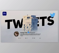 Download Tweets (Videohive 32592835) - PR Project