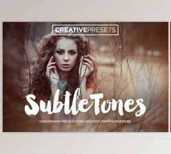 Download SubtleTones ~ 30 Lightroom Presets By CreativePresets (lrtemplate)
