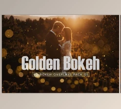 Download 60 Golden Bokeh Pack 01 lights By EpicoMedia
