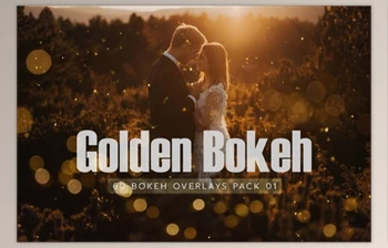 Download 60 Golden <span class='badge badge-warning'>Bokeh</span> Pack 01 lights By EpicoMedia