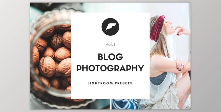 Download Creative Market Blogger Lightroom Presets Vol I By Filtercrave 1058917