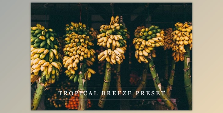 Download Tropical breeze – Lightroom preset By LovelyPhotoPrints