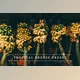 Download Tropical breeze – Lightroom preset By LovelyPhotoPrints