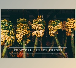 Download Tropical breeze – Lightroom preset By LovelyPhotoPrints