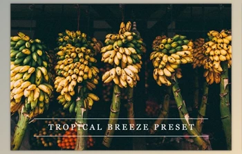 Download <span class='badge badge-warning'>Tropical</span> breeze – Lightroom preset By LovelyPhotoPrints