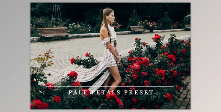 Download Pale petals – Lightroom preset By LovelyPhotoPrints