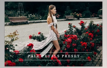 Download Pale petals – Lightroom <span class='badge badge-warning'>preset</span> By LovelyPhotoPrints