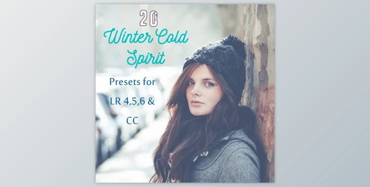 Download Pack 20 LR Presets Winter time By Presets Light Shop (LRTEMPLATE, JPG)