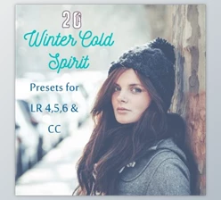 Download Pack 20 LR Presets Winter time By Presets Light Shop (LRTEMPLATE, JPG)