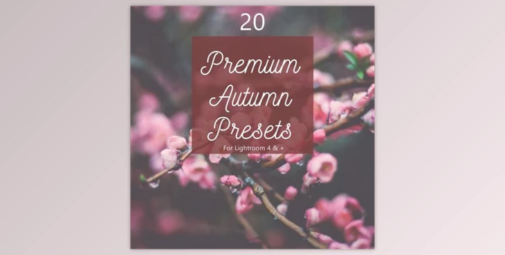 Download Pack 20 Premium Autumn Fall Presets (LRTEMPLATE, JPG)