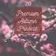 Download Pack 20 Premium Autumn Fall Presets (LRTEMPLATE, JPG)