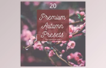 Download Pack 20 Premium Autumn Fall <span class='badge badge-warning'>Presets</span> (<span class='badge badge-warning'>LRTEMPLATE</span>, JPG)