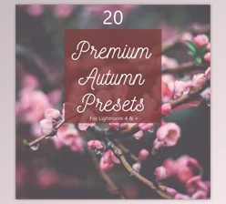 Download Pack 20 Premium Autumn Fall Presets (LRTEMPLATE, JPG)