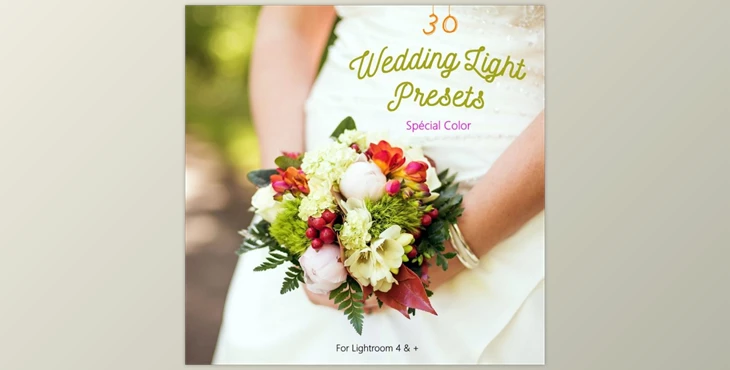 Download Pack 30 LR Presets Wedding Light Day By Presets Light Shop