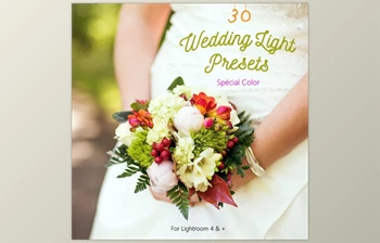 Download Pack 30 <span class='badge badge-warning'>LR</span> <span class='badge badge-warning'>Presets</span> Wedding Light Day By <span class='badge badge-warning'>Presets</span> Light Shop