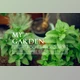 Download 9 Nature Lightroom Presets By MEGASETS