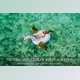 Download Travel Photoshop actions ACR presets By BeArt-Presets (ATN, XMP, PDF, JPG)