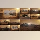 Download Desert War slideshow (Videohive 24477262) - AE Project