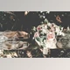 Download 80 Film Lightroom Presets By EzDigitals