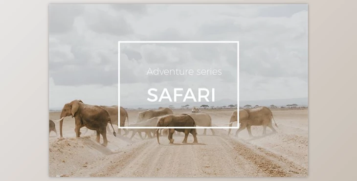 Download Adventure Series: Safari LR Preset By Straight, No Chaser Shop (LRTEMPLATE)