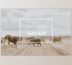 Download Adventure Series: Safari LR Preset By Straight, No Chaser Shop (LRTEMPLATE)