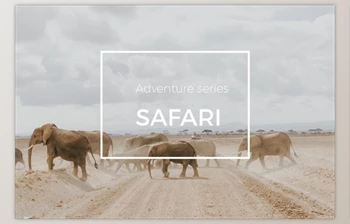 Download Adventure Series: Safari <span class='badge badge-warning'>LR</span> Preset By Straight, No Chaser Shop (LRTEMPLATE)