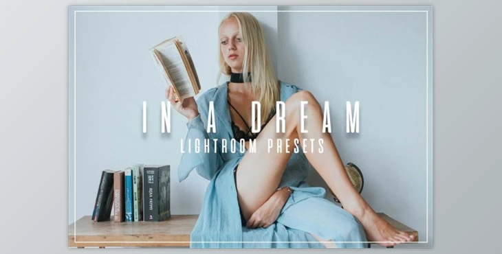 Download In A Dream - Lifestyle LR Presets By JoshPatil