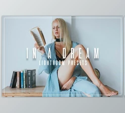 Download In A Dream - Lifestyle LR Presets By JoshPatil