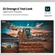 Download 22 Orange and Teal Look Lightroom Preset By LollipopGraphics (LRTemplate)