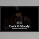 Download Dark & Moody Lightroom Presets By Hexastyle