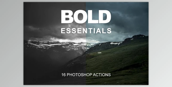 Download Bold Essentials By Basics