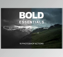 Download Bold Essentials By Basics