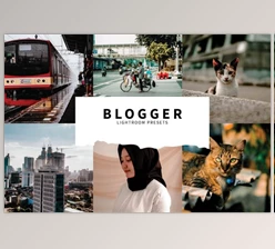 Download 10 Blogger Lightroom Presets By Fitra Anas
