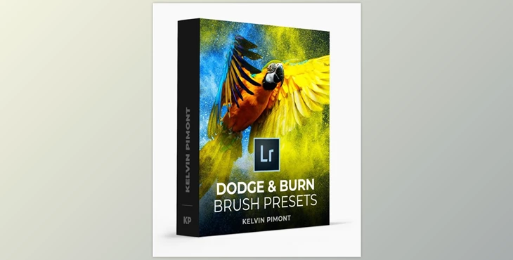 Download Dodge and Burn Lightroom Brush Presets by Kelvin Pimont