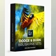 Download Dodge and Burn Lightroom Brush Presets by Kelvin Pimont