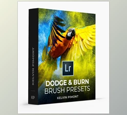 Download Dodge and Burn Lightroom Brush Presets by Kelvin Pimont